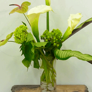 Green Bouquet, 2014, 14" x 14" Archival Digital Photograph
