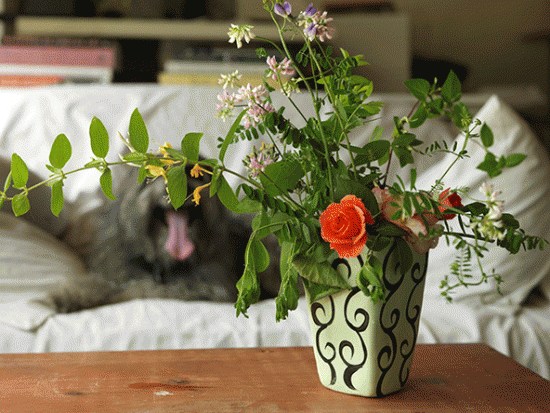 Flowers with Tongue, 2015, Archival Digital Print