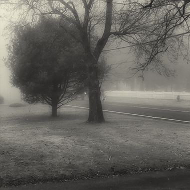 Fog, 12.6.15, 2015, Archival Digital Print
