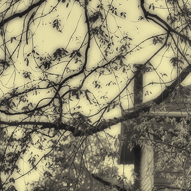 Tree, House, Chimney, 2016, Archival Digital Print